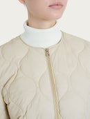  DP02KG 786 Ragno 