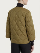  DP02KG D82 Ragno 