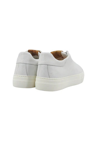 SCARPA - ALVIERO MARTINI