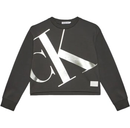 FELPA ML - CALVIN KLEIN IG0IG02482 PSM Calvin Klein 