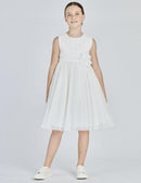  S26-8224 102 Alice Pi 