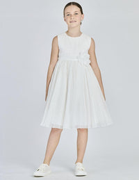  S26-8224 102 Alice Pi 