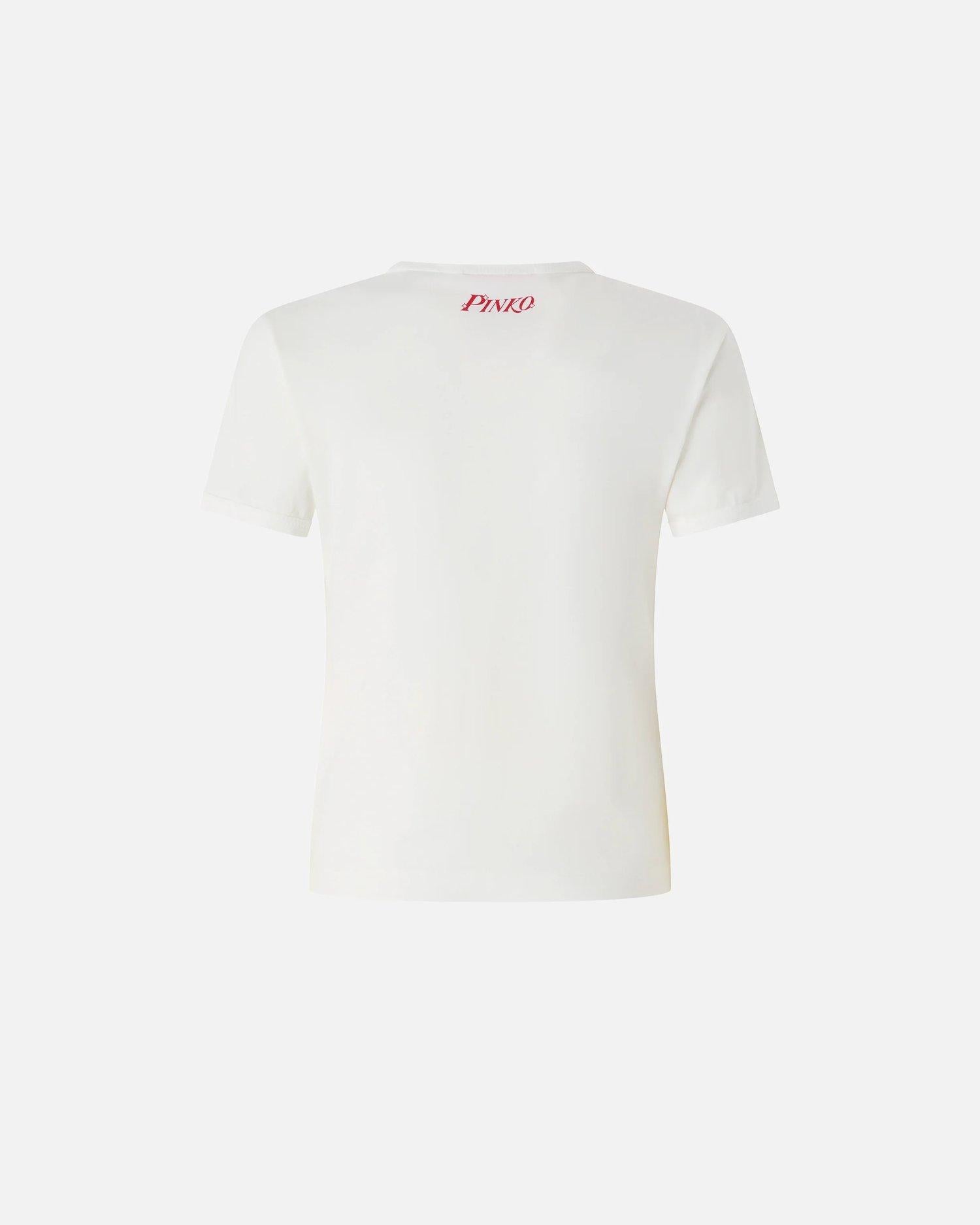 intenso 105728-A33P INTENSO ZR2 Pinko 