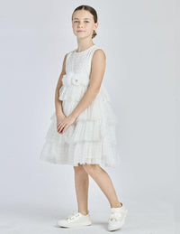  S26-8228 102 Alice Pi 