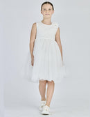  8209 102 Alice Pi 