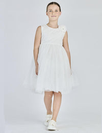  8209 102 Alice Pi 