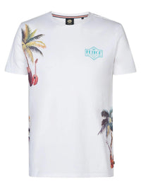 T SHIRT - PETROL M-1050-TSR673 0000 Petrol 