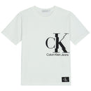 T-SHIRT - CALVIN KLEIN IB0IB01644 YAF Calvin Klein 
