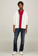 JEANS - TOMMY HILFIGER MW0MW33973 1BN Tommy Hilfiger 